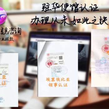 公司執(zhí)照\(chéng)債務(wù)證書\初次注冊(cè)證書洪都拉斯大使館蓋章