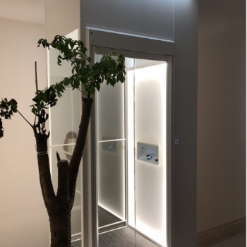 四川專業定制別墅電梯，家用電梯，觀光電梯，液壓梯