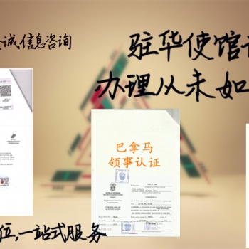 印尼領(lǐng)事館簽章公司章程+審計報告