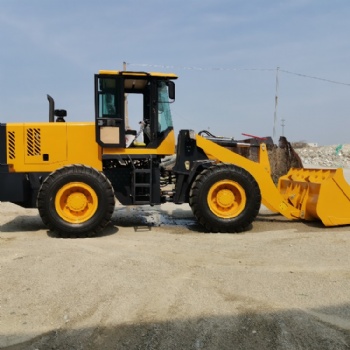 供應小型柴油鏟車輪邊橋自動檔裝載機 木材裝載機草垛抓草機抓木機