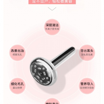 磁力微震面部按摩導入儀