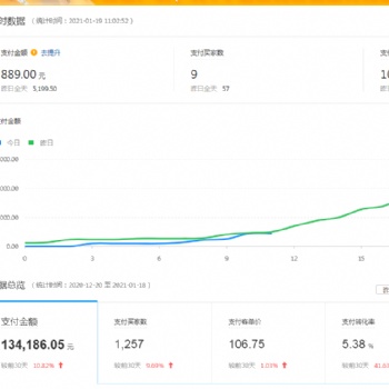 2021拼多多無貨源店群軟件貼牌招商，拼上拼淘上拼一對一培訓，包教包會