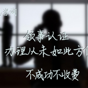 伊拉克領(lǐng)事認(rèn)證企業(yè)報(bào)關(guān)單+PI