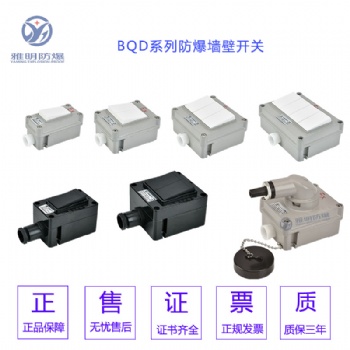 86型防爆開(kāi)關(guān)單聯(lián)雙聯(lián)三聯(lián)暗裝防爆墻壁開(kāi)關(guān)