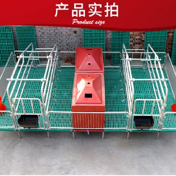 母豬產(chǎn)床復(fù)合母豬保育產(chǎn)床 雙體母豬產(chǎn)床