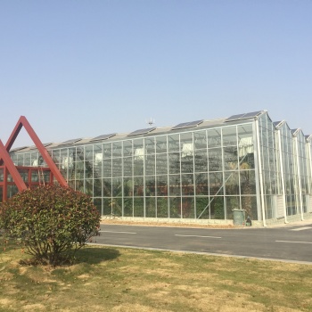 蔬菜大棚、溫室大棚、溫室配套設施銷售及安裝