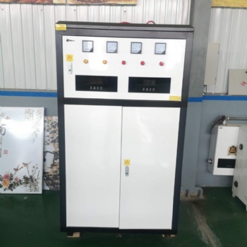廠家供應高端環(huán)保電采暖爐