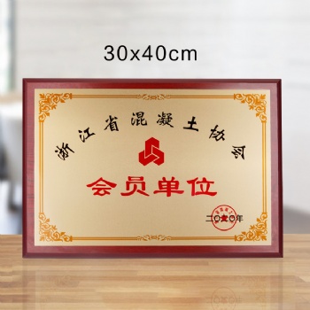 會員單位紀念品 送給合作伙伴獎牌 授權牌制作