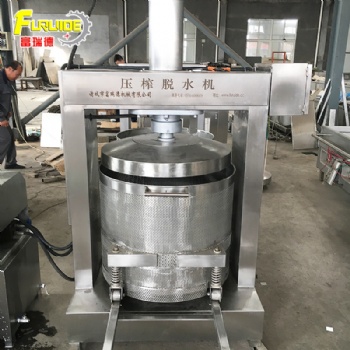 廠家批發(fā)壓榨脫水機(jī) 葡萄番茄收汁壓榨機(jī) 壓榨過濾設(shè)備