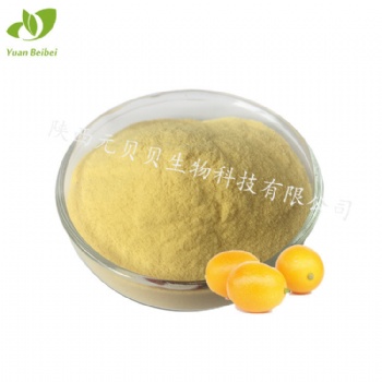 金桔汁粉壹貝子實(shí)力工廠(chǎng)現(xiàn)貨批發(fā)原料免費(fèi)拿樣金桔**金桔粉