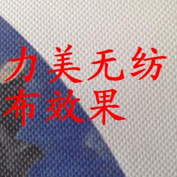 白畫布,絹絲布,無紡布