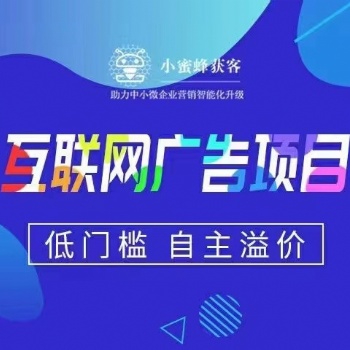互聯(lián)網(wǎng)輕資產(chǎn)項(xiàng)目，想賺錢的看過來