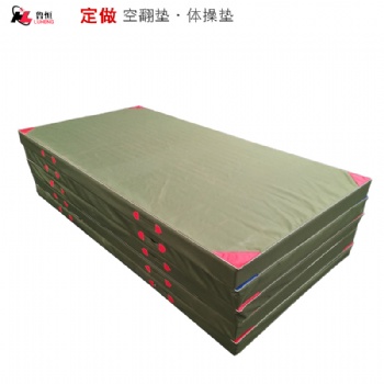 廠家定制武術(shù)雜技防護(hù)墊空翻墊加厚運(yùn)動(dòng)體育墊消防軍隊(duì)訓(xùn)練體操墊