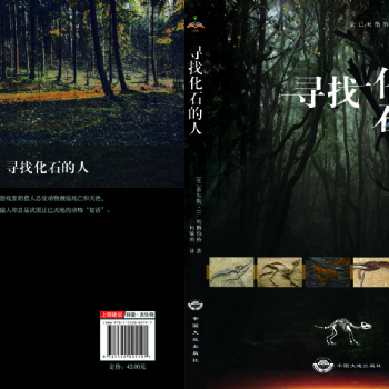 承接畫冊設計、文化墻、展板、海報設計、易拉寶、燈箱廣告牌、噴繪寫真、名片