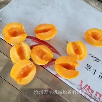 杏子分半機杏子去核機杏子核肉分離設備規格齊全