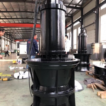 QZB QHB 大流量泵有哪些技術(shù)標準