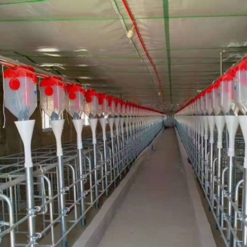 撫順地區全自動化料線 豬舍養殖設備自動上料線
