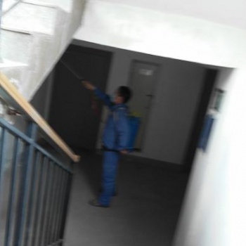 鄭州家庭滅蟑螂安全環(huán)保效果好