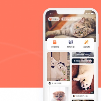 寵物小程序APP開發(fā)網(wǎng)站建設(shè)
