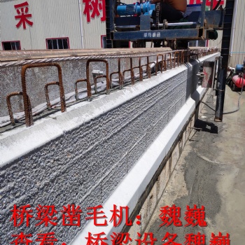 橋梁鑿毛機-路面鑿毛設備-軌道鑿毛機（魏巍鑿毛設備）