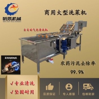 全自動廚房洗菜機去農殘果蔬氣泡清洗機中藥材清洗風干流水線