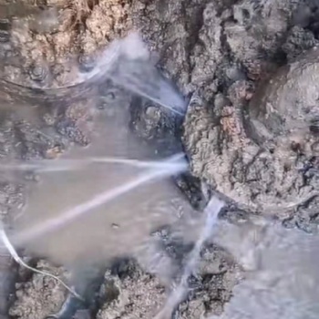 杭州地下水管漏水檢測 自來水管查漏 消防管網漏水檢測 地下管道勘察定位