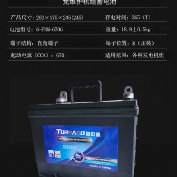 發電機蓄電池6-FNM-670G