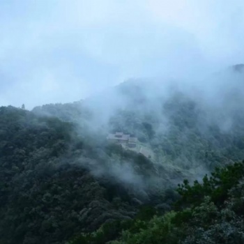 古琴成人學(xué)古琴的疑慮