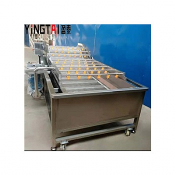 多功能氣泡清洗機(jī)，果蔬清洗機(jī)