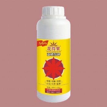 龍眼疏果原則，膨果增甜葉面追施肥使用花得果亞磷酸鉀