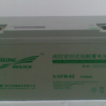 科華6-GFM-65 12V/6**H 免維護蓄電池 及時發貨