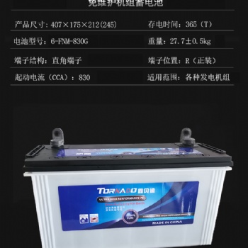 發(fā)電機(jī)組蓄電池6-FNM-830G