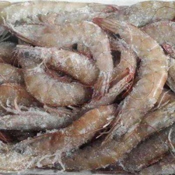 進(jìn)口帶魚**報(bào)關(guān)進(jìn)口孔鰩**報(bào)關(guān)