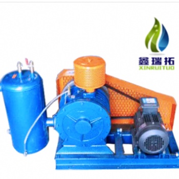 回轉式鼓風機,水處理曝氣羅茨鼓風機