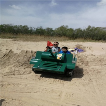 外形炫酷 操作簡(jiǎn)單的游樂(lè)坦克車(chē) 親子坦克車(chē) 家庭坦克車(chē)