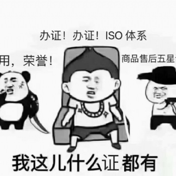 ISO9001質(zhì)量管理體系