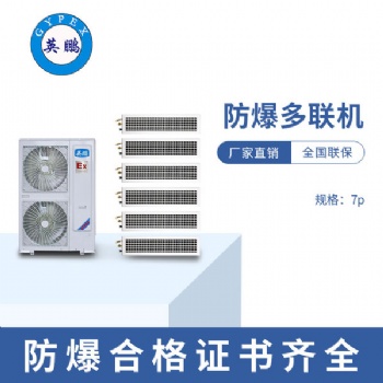 制藥廠7匹防爆多聯機