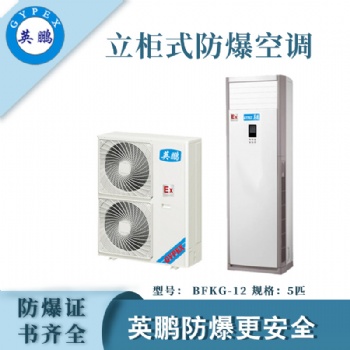 湛江石化廠立柜式防爆空調(diào)