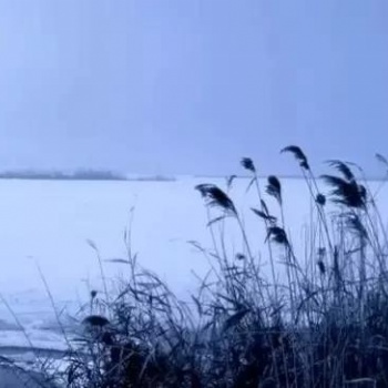 賢風(fēng)吟古琴研究古琴入門應(yīng)注意的問題
