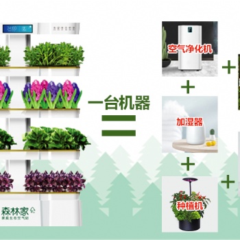 心福地森林家家庭治理機