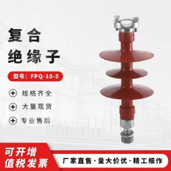 盤形懸式瓷復(fù)合絕緣子FXWP-70