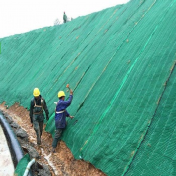 加筋防沖毯植生毯防沖生態(tài)毯河道整治城市綠化深受**