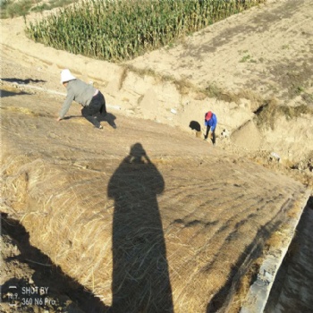 直供青海省 環(huán)保草毯 植草毯 綠化毯 荒漠化治理邊坡綠化 批發(fā)廠家
