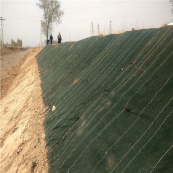 福建省草毯 生態(tài)毯 綠化毯 抗沖生態(tài)毯 抗沖生物毯 河渠邊坡生態(tài)綠化