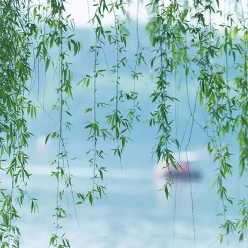 古琴彈奏的速度和細(xì)節(jié)