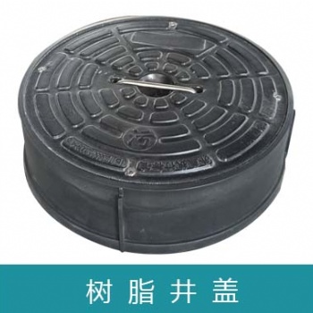 湖北龍康排水315復(fù)合井蓋