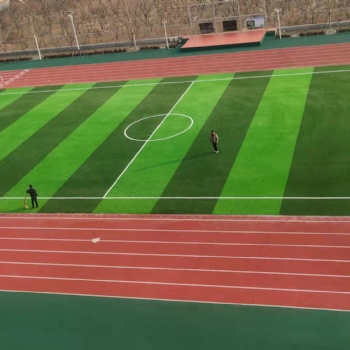 公司承接人造草坪足球場塑膠跑道工程項目