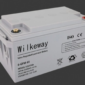 威爾克威蓄電池6-GFM-65廠家參數12V6**H