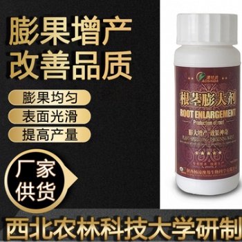 澳仕達根莖膨大劑 膨大增產效果神奇提高品質膨大均勻不空心不裂果