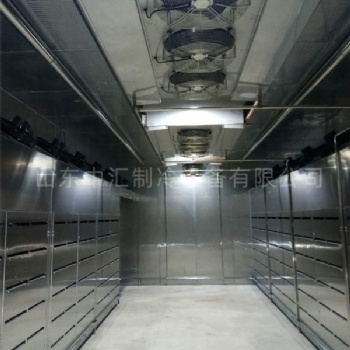 大塊凍牛肉低溫高濕緩化解凍庫 解凍機(jī)